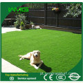 Wm Pet Artificial Grass